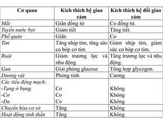 Cơ quan Kích thích hệ giao
cảm
Kích thích hệ đối giao
cảm
Mắt Giãn đồng tử Co đồng tử.
Tuyến nước bọt Giảm tiết Tăng tiết.
Phế quản Giãn Co
Tim Tăng nhịp tim, tăng sức
co bóp cơ tim
Giảm nhịp tim, giảm
sức co bóp cơ tim.
Ruột Giảm trƣơng lực và
nhu động
Tăng trƣơng lực và nhu
động.
Gan Giải phóng glucose Tổng hợp glycogen.
Dương vật Phóng tinh Cƣơng
Các tiểu động mạch:
-Tạng ở bụng.
-Cơ
-Da
Co
Co
Co
Không
Không
Không
Chuyển hóa cơ sở Tăng Không
Hoạt động tinh thần Tăng Không
 