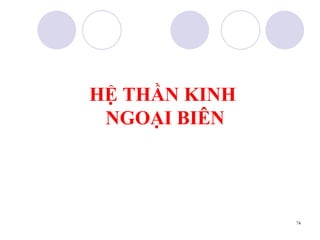 HỆ THẦN KINH
NGOẠI BIÊN
74
 