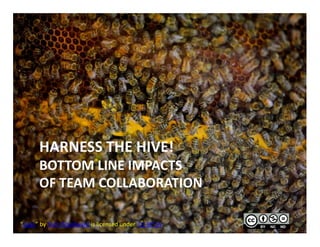 HARNESS	THE	HIVE!
BOTTOM	LINE	IMPACTS
OF	TEAM	COLLABORATION
“bees”	by	Tom	Woodward is	licensed	under		CC	BY	SA
 