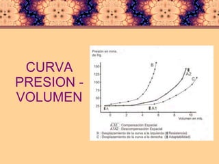 CURVA PRESION - VOLUMEN 