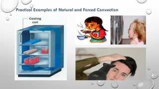 Practical Examples of Natural and Forced Convection
 