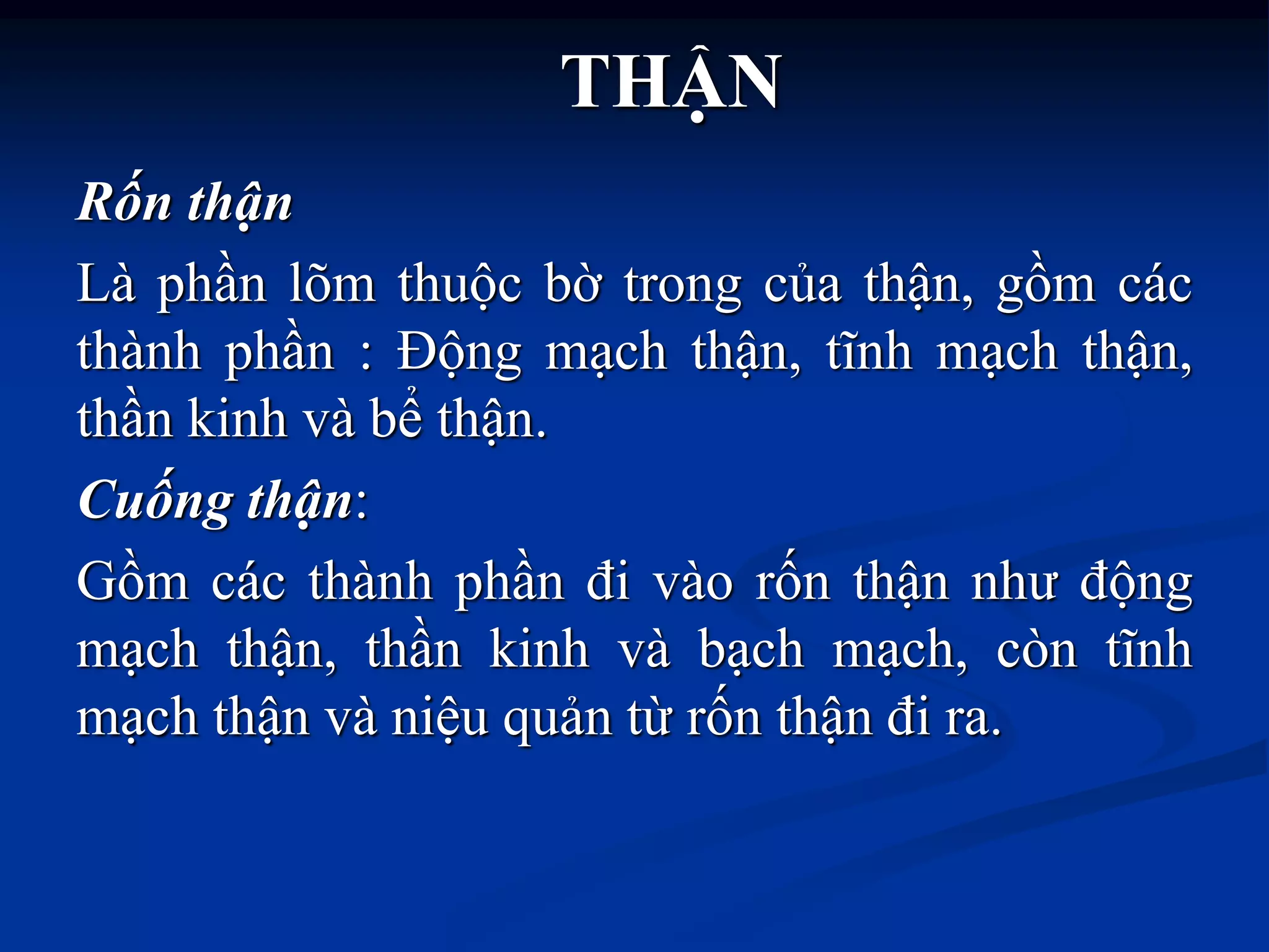 Rốn thận
Là phần lõm thuộc bờ trong của thận, gồm các
thành phần : Động mạch thận, tĩnh mạch thận,
thần kinh và bể thận.
Cuống thận:
Gồm các thành phần đi vào rốn thận nhƣ động
mạch thận, thần kinh và bạch mạch, còn tĩnh
mạch thận và niệu quản từ rốn thận đi ra.
THẬN
 