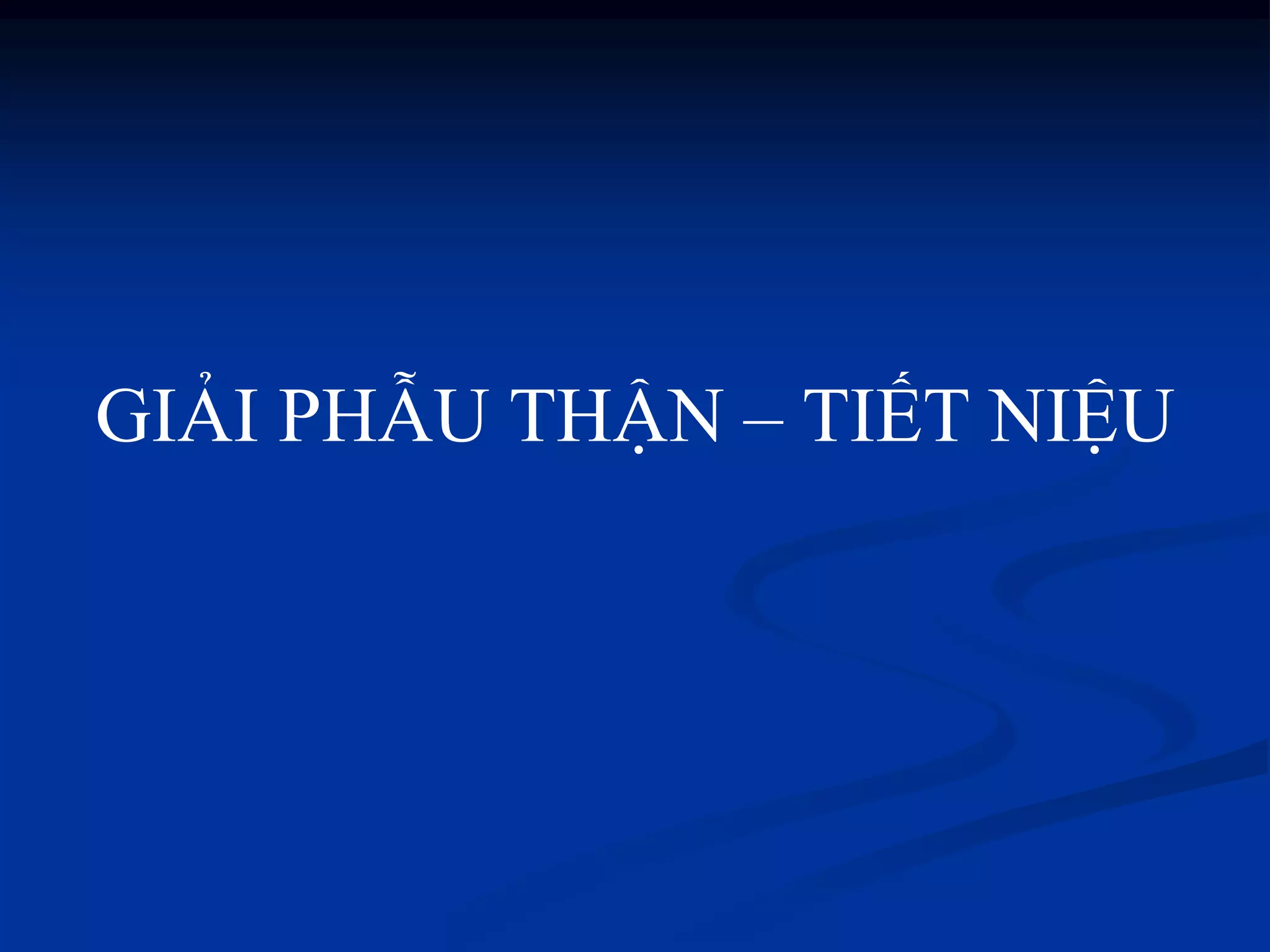 GIẢI PHẪU THẬN – TIẾT NIỆU
 