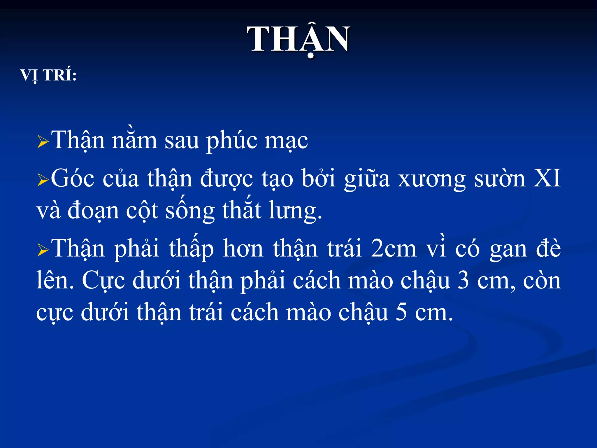 THẬN
Thận nằm sau phúc mạc
Góc của thận đƣợc tạo bởi giữa xƣơng sƣờn XI
và đoạn cột sống thắt lƣng.
Thận phải thấp hơn thận trái 2cm vì̀̀̀ có gan đè
lên. Cực dƣới thận phải cách mào chậu 3 cm, còn
cực dƣới thận trái cách mào chậu 5 cm.
VỊ TRÍ:
 