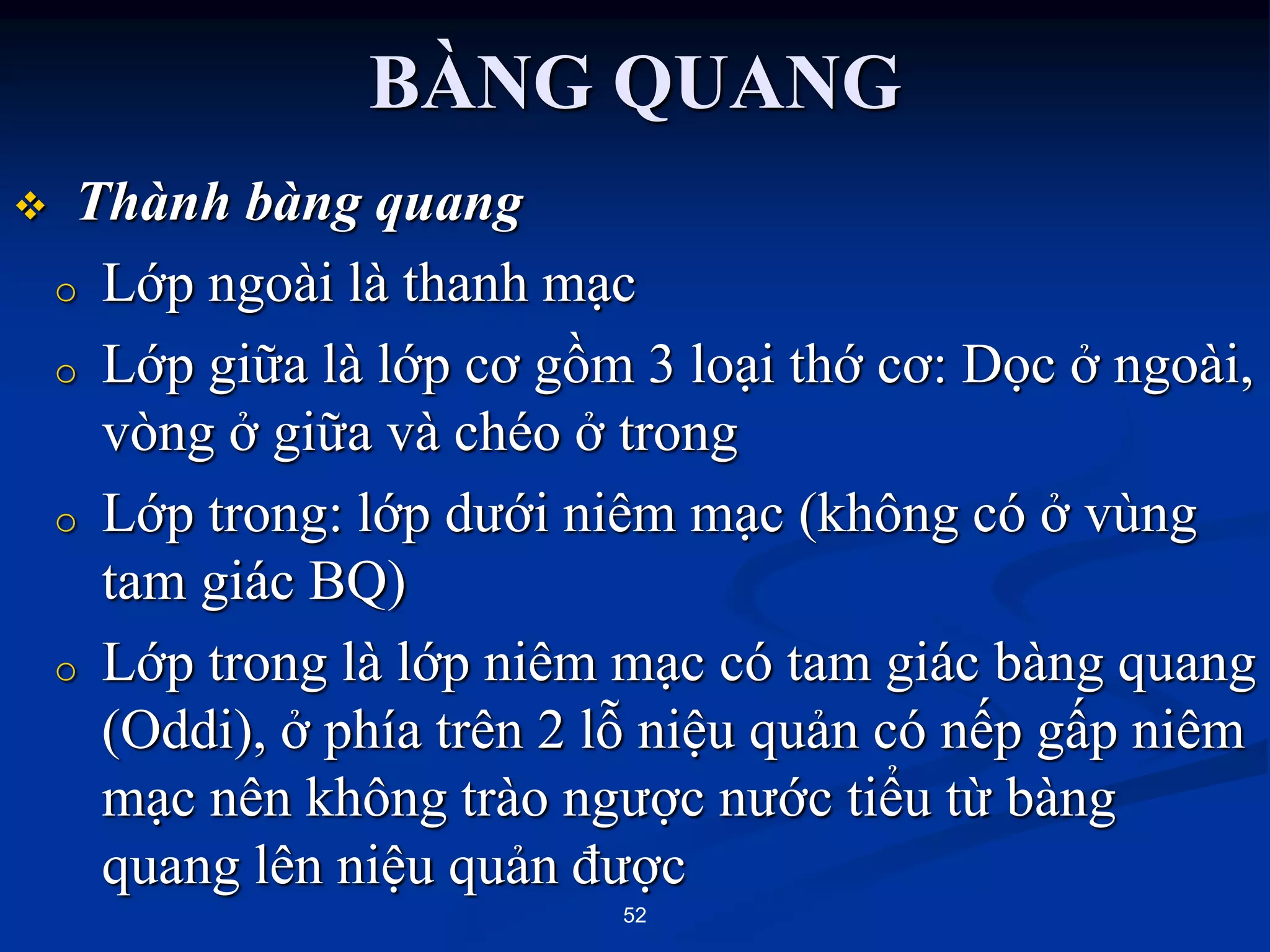  Thành bàng quang
o Lớp ngoài là thanh mạc
o Lớp giữa là lớp cơ gồm 3 loại thớ cơ: Dọc ở ngoài,
vòng ở giữa và chéo ở trong
o Lớp trong: lớp dƣới niêm mạc (không có ở vùng
tam giác BQ)
o Lớp trong là lớp niêm mạc có tam giác bàng quang
(Oddi), ở phía trên 2 lỗ niệu quản có nếp gấp niêm
mạc nên không trào ngƣợc nƣớc tiểu từ bàng
quang lên niệu quản đƣợc
52
BÀNG QUANG
 