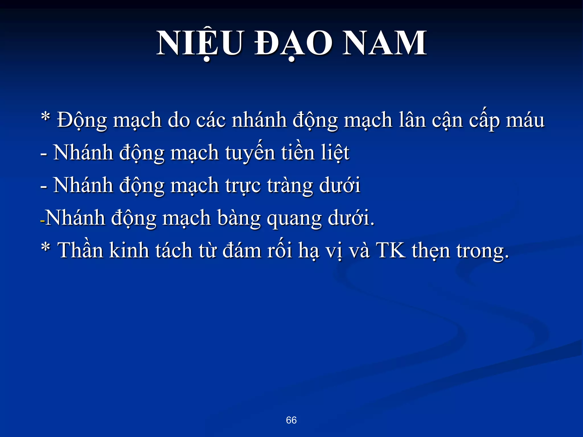 * Động mạch do các nhánh động mạch lân cận cấp máu
- Nhánh động mạch tuyến tiền liệt
- Nhánh động mạch trực tràng dƣới
-Nhánh động mạch bàng quang dƣới.
* Thần kinh tách từ đám rối hạ vị và TK thẹn trong.
66
NIỆU ĐẠO NAM
 