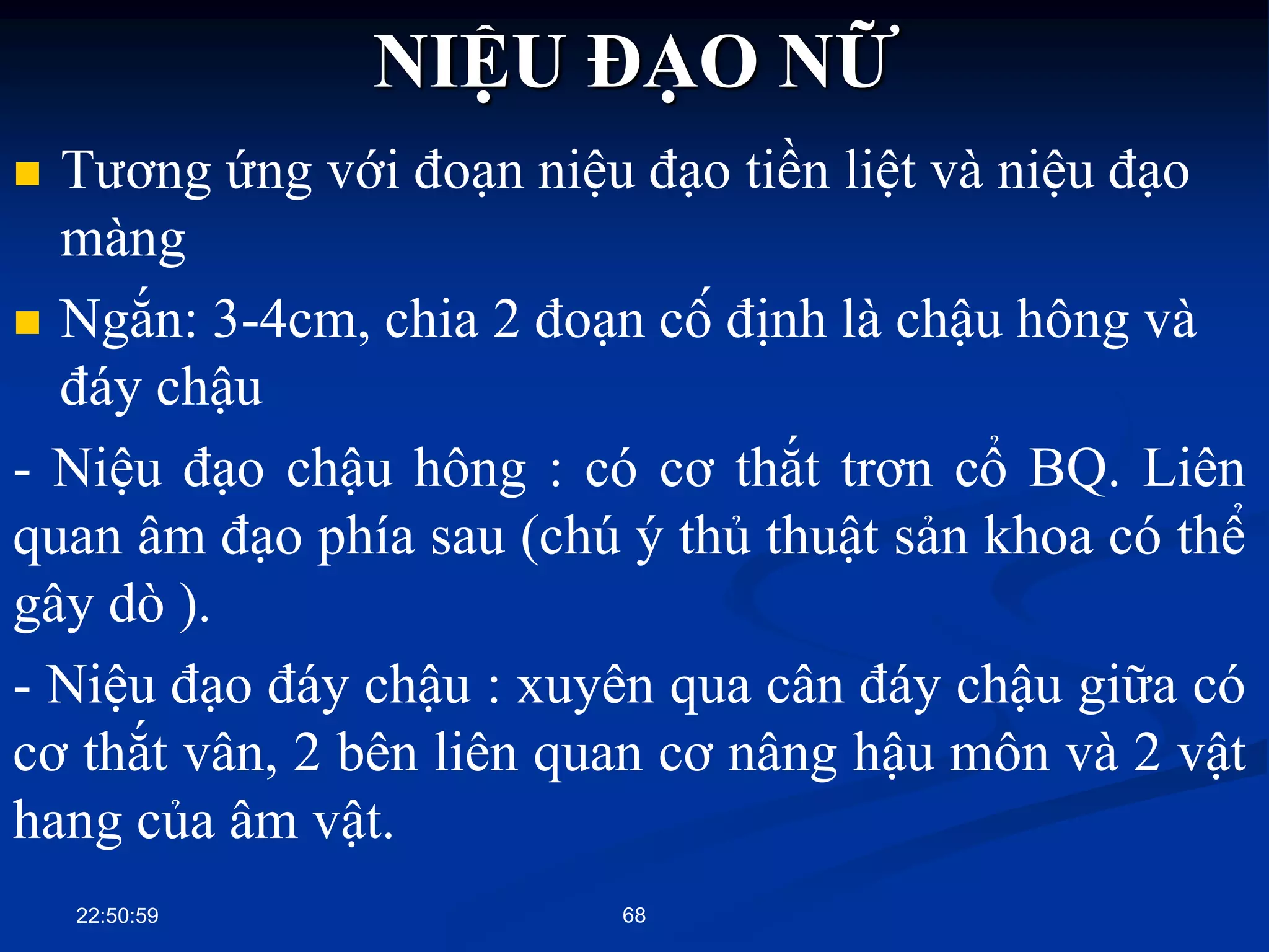  Tƣơng ứng với đoạn niệu đạo tiền liệt và niệu đạo
màng
 Ngắn: 3-4cm, chia 2 đoạn cố định là chậu hông và
đáy chậu
- Niệu đạo chậu hông : có cơ thắt trơn cổ BQ. Liên
quan âm đạo phía sau (chú ý thủ thuật sản khoa có thể
gây dò ).
- Niệu đạo đáy chậu : xuyên qua cân đáy chậu giữa có
cơ thắt vân, 2 bên liên quan cơ nâng hậu môn và 2 vật
hang của âm vật.
22:50:59 68
NIỆU ĐẠO NỮ
 