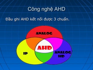 Công nghệ AHDCông nghệ AHD
Đầu ghi AHD kết nối được 3 chuẩn.Đầu ghi AHD kết nối được 3 chuẩn.
 