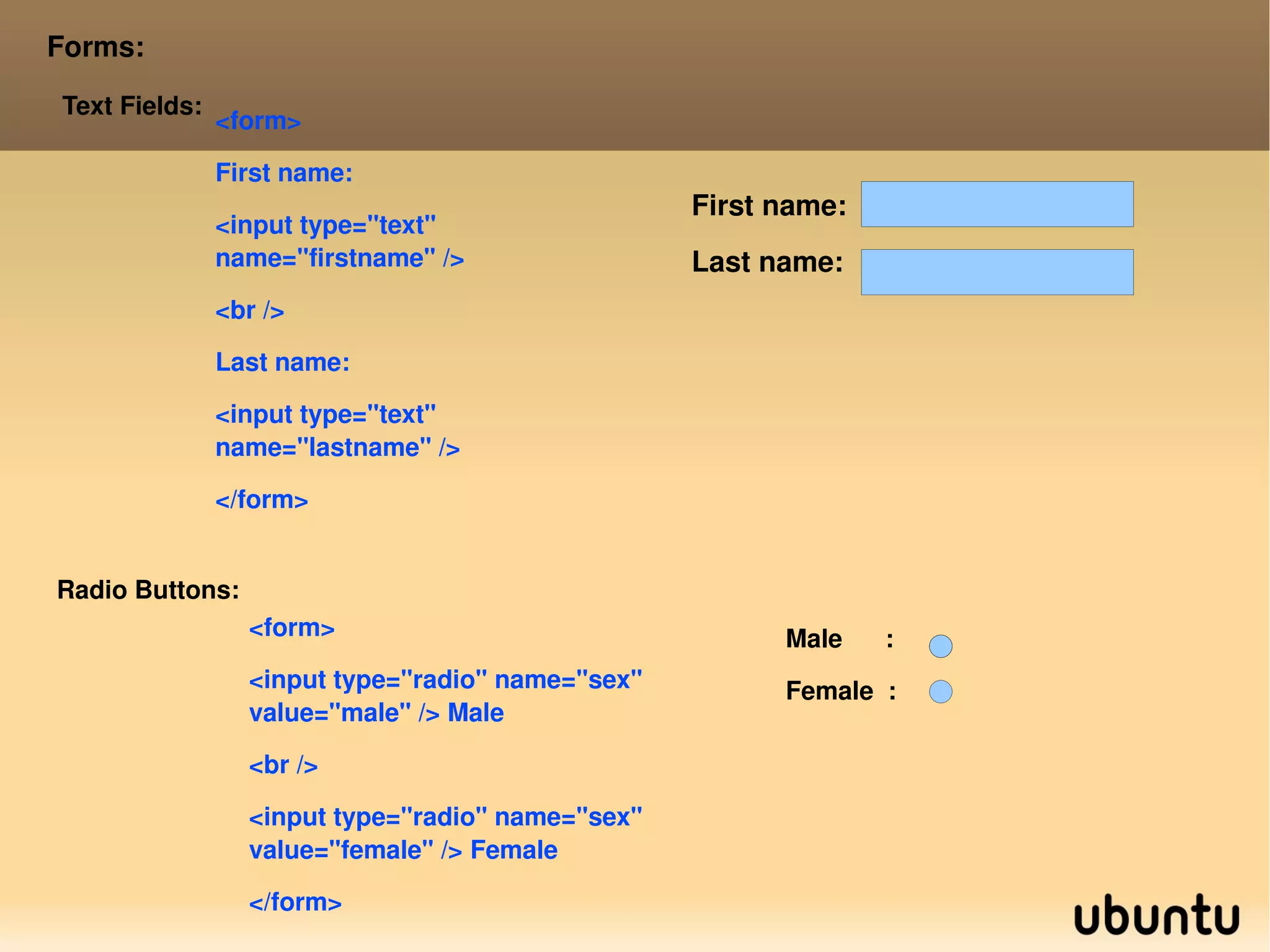 Milk Ordered Lists: <ol> <li>Coffee</li> <li>Milk</li> </ol>  Here is how it looks in a browser: Coffee 