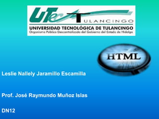 Leslie Nallely Jaramillo Escamilla

Prof. José Raymundo Muñoz Islas
DN12

 
