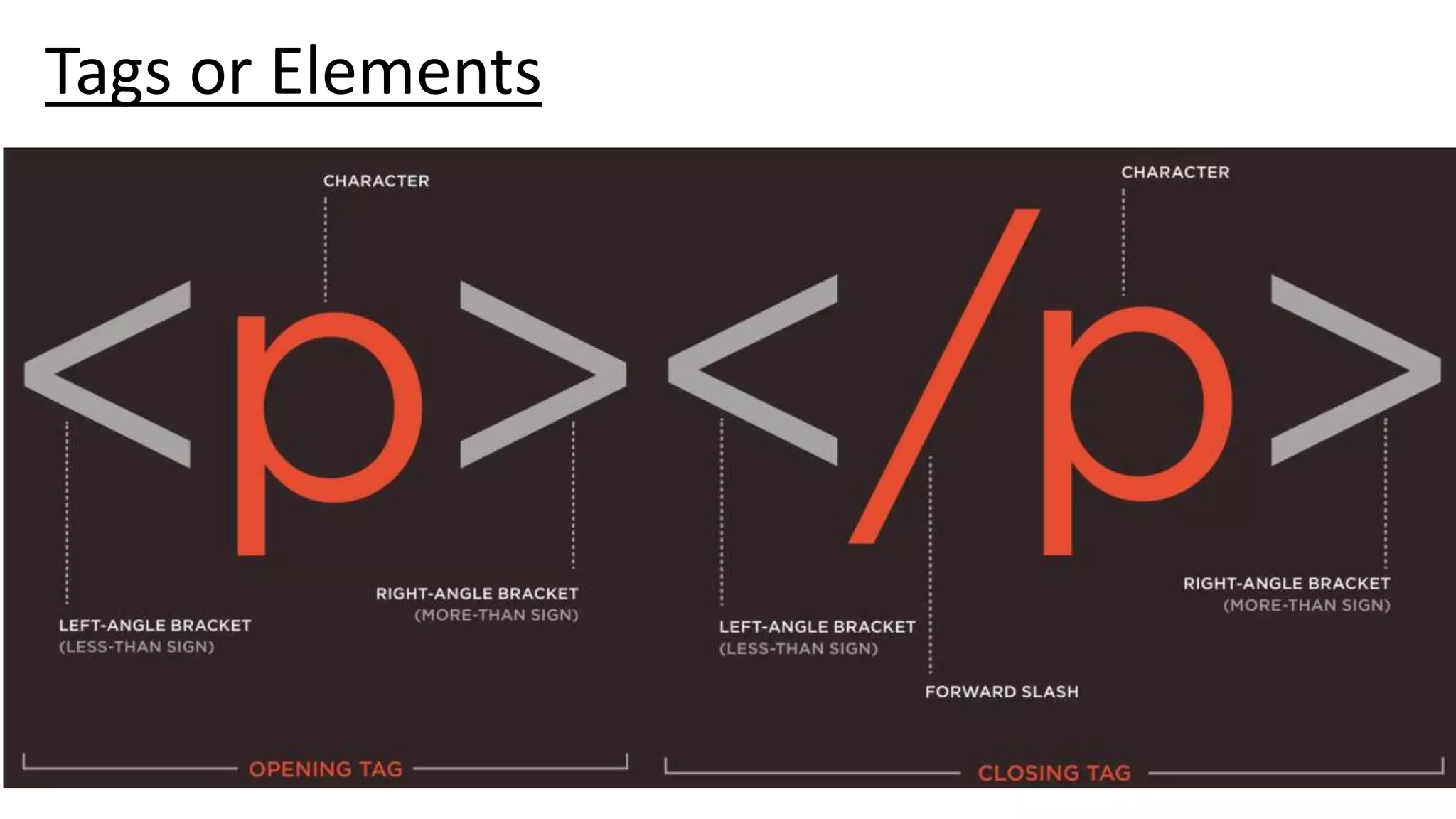 Tags or Elements
 