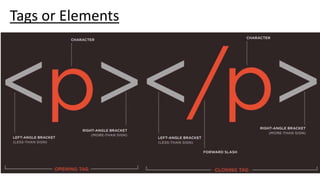 Tags or Elements
 