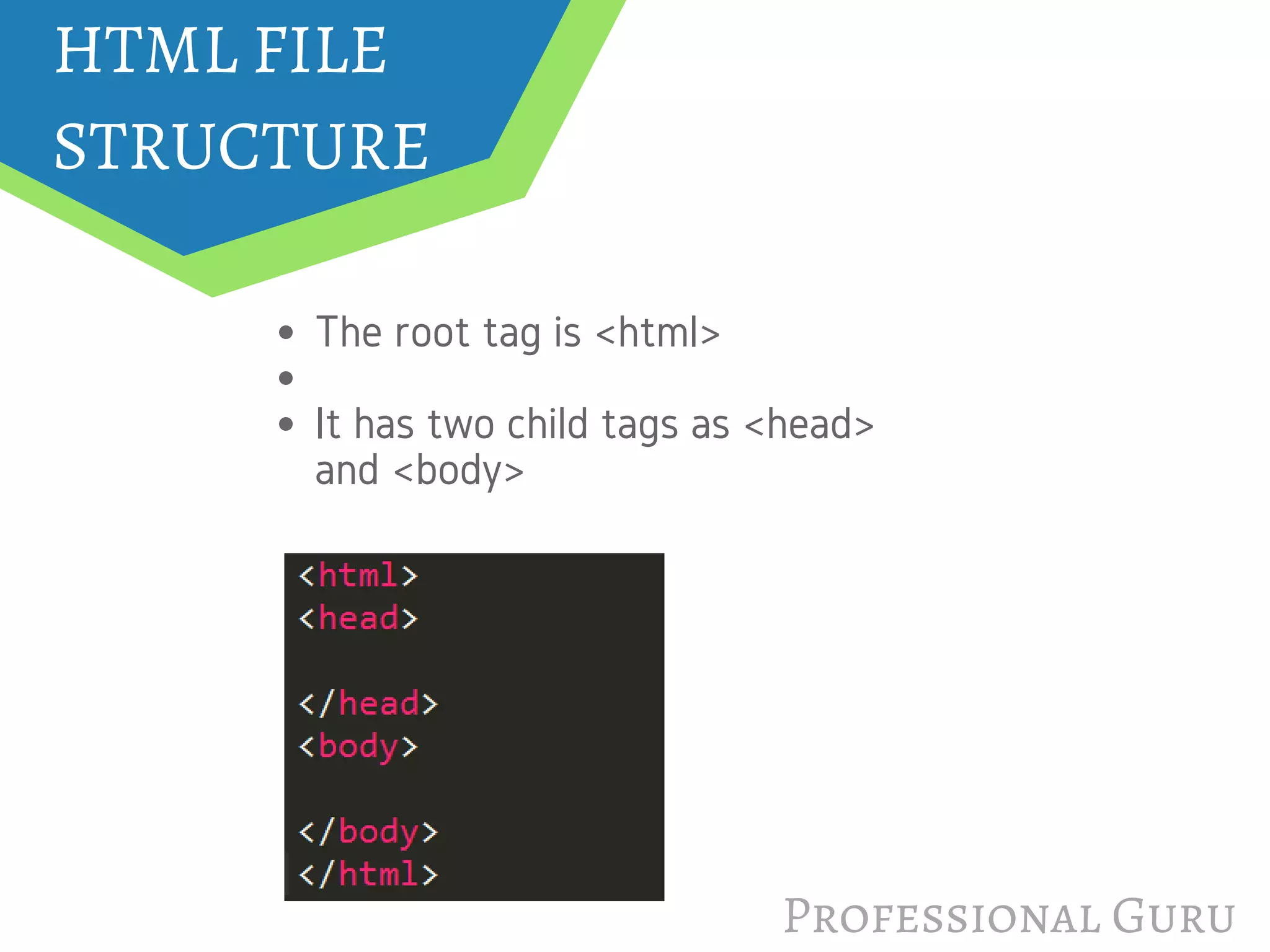 HTML FILE
STRUCTURE
The root tag is <html> 
It has two child tags as <head>
and <body>
Professional Guru
 