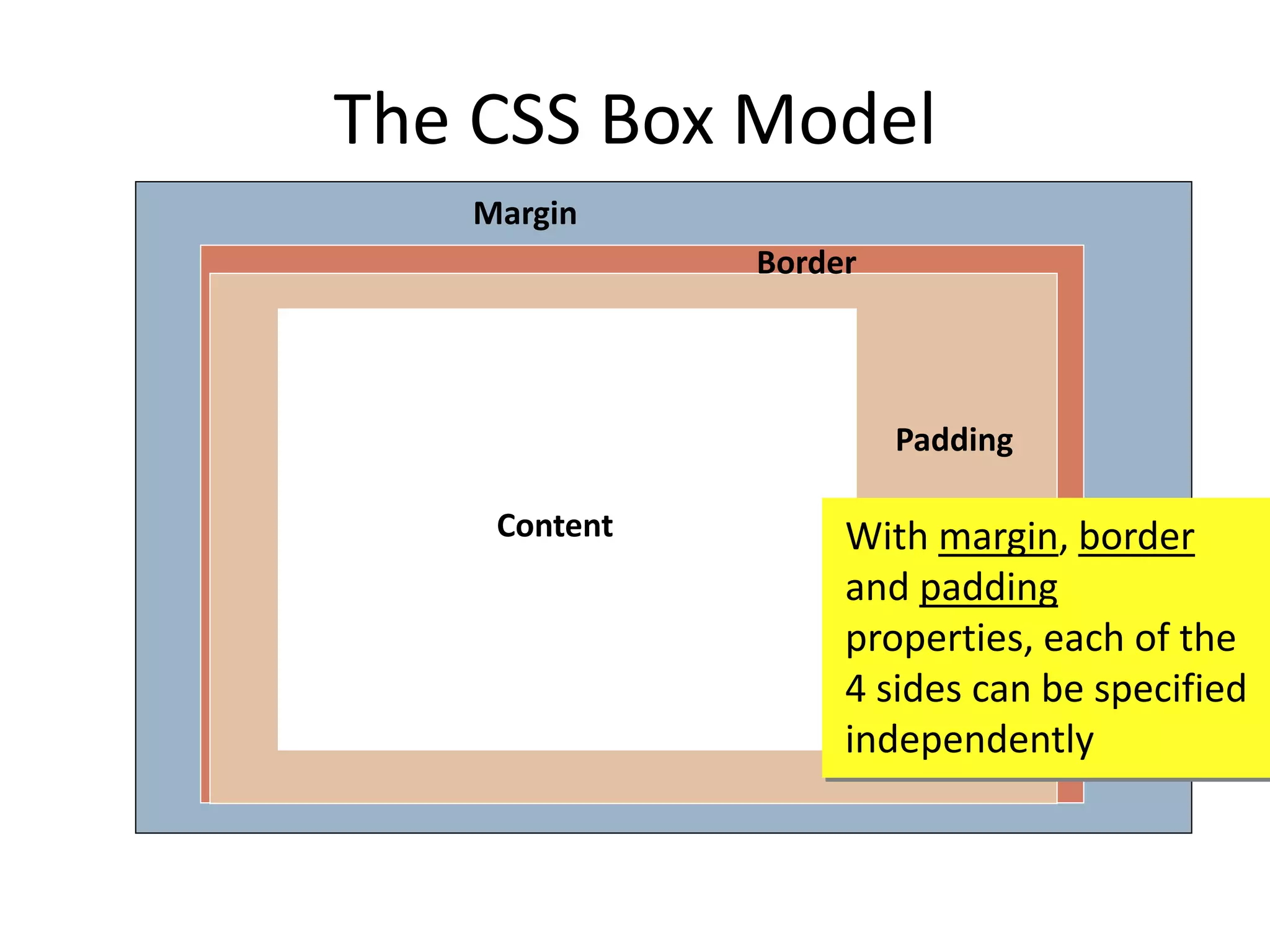 The CSS Box Model
Content
Padding
Border
Margin
With margin, border
and padding
properties, each of the
4 sides can be specified
independently
 