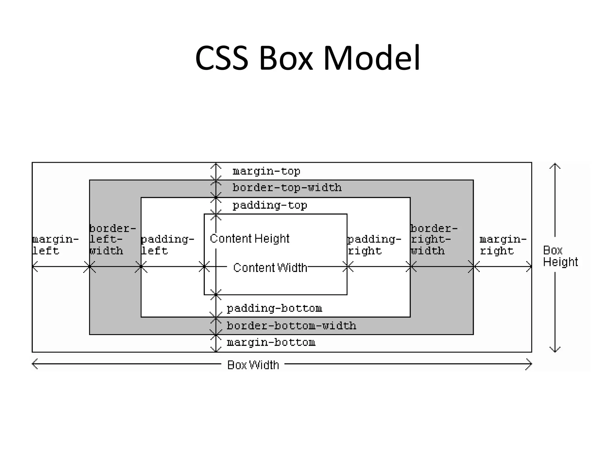 CSS Box Model
 