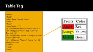 <html>
<head>
<title> Table Example</title>
</head>
<body>
<table border="1">
<tr> <th> Fruits</th><th> Color</th></tr>
<tr> <td bgcolor="red"> Apple</td><td>
Red</td></tr>
<tr> <td bgcolor="yellow"> Mango</td><td>
Yellow</td></tr>
<tr> <td bgcolor="Green"> Guava</td><td>
Green</td></tr>
</table>
</body>
</html>
 