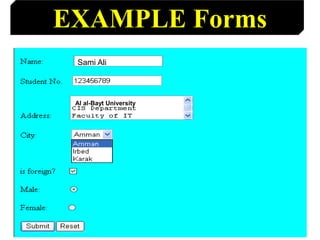 73
Sami Ali
Al al-Bayt University
EXAMPLE Forms
 