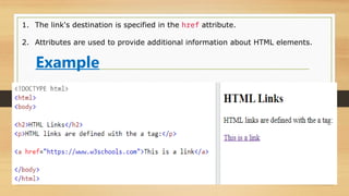 Example
1. The link's destination is specified in the href attribute.
2. Attributes are used to provide additional information about HTML elements.
 