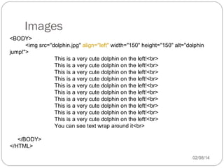Images
<BODY>
<img src="dolphin.jpg" align="left" width="150" height="150" alt="dolphin
jump!">
This is a very cute dolphin on the left!<br>
This is a very cute dolphin on the left!<br>
This is a very cute dolphin on the left!<br>
This is a very cute dolphin on the left!<br>
This is a very cute dolphin on the left!<br>
This is a very cute dolphin on the left!<br>
This is a very cute dolphin on the left!<br>
This is a very cute dolphin on the left!<br>
This is a very cute dolphin on the left!<br>
This is a very cute dolphin on the left!<br>
You can see text wrap around it<br>
</BODY>
</HTML>
02/08/14

 