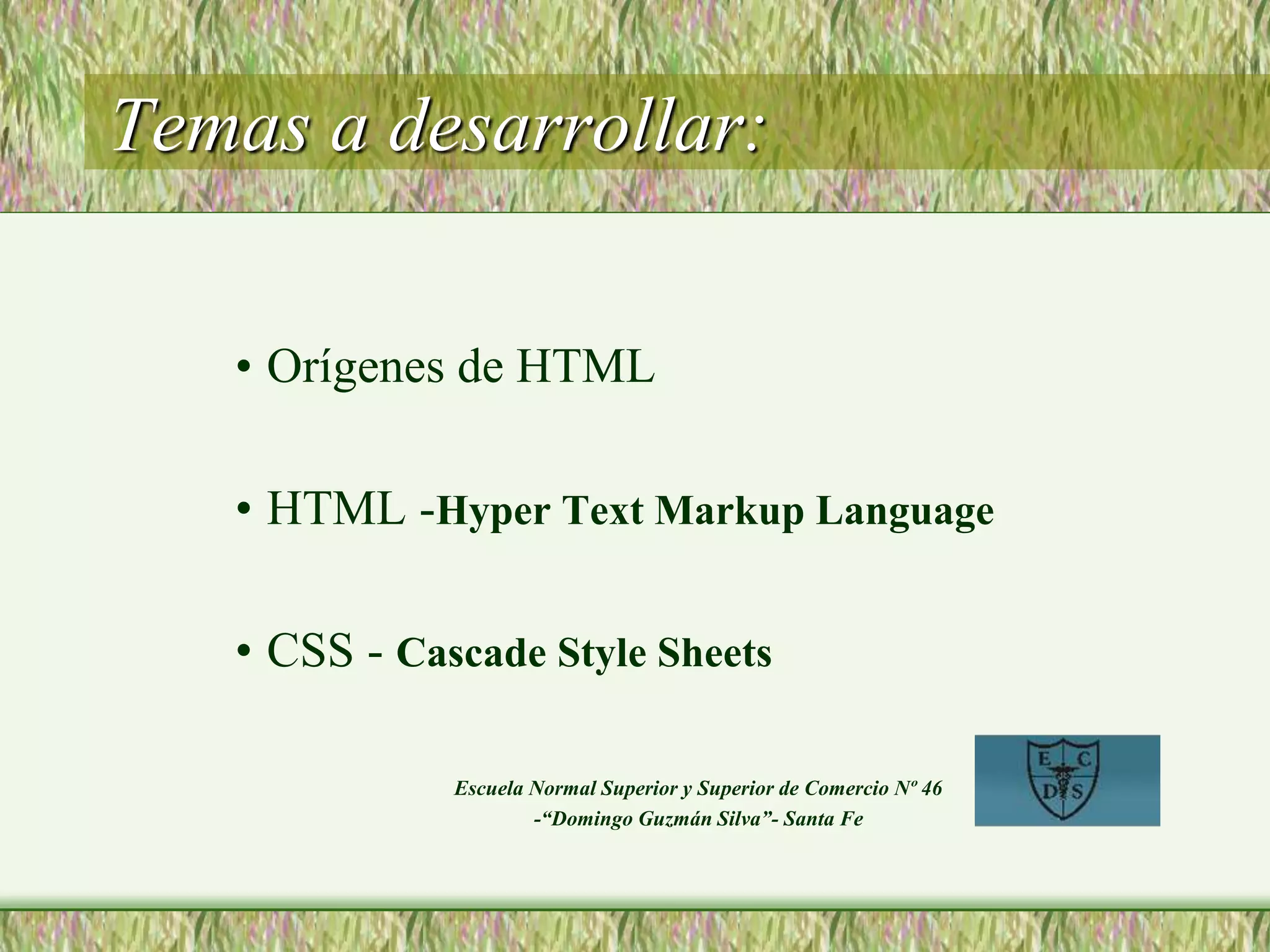 Temas a desarrollar:
• Orígenes de HTML
• HTML -Hyper Text Markup Language
• CSS - Cascade Style Sheets
Escuela Normal Superior y Superior de Comercio Nº 46
-“Domingo Guzmán Silva”- Santa Fe
 