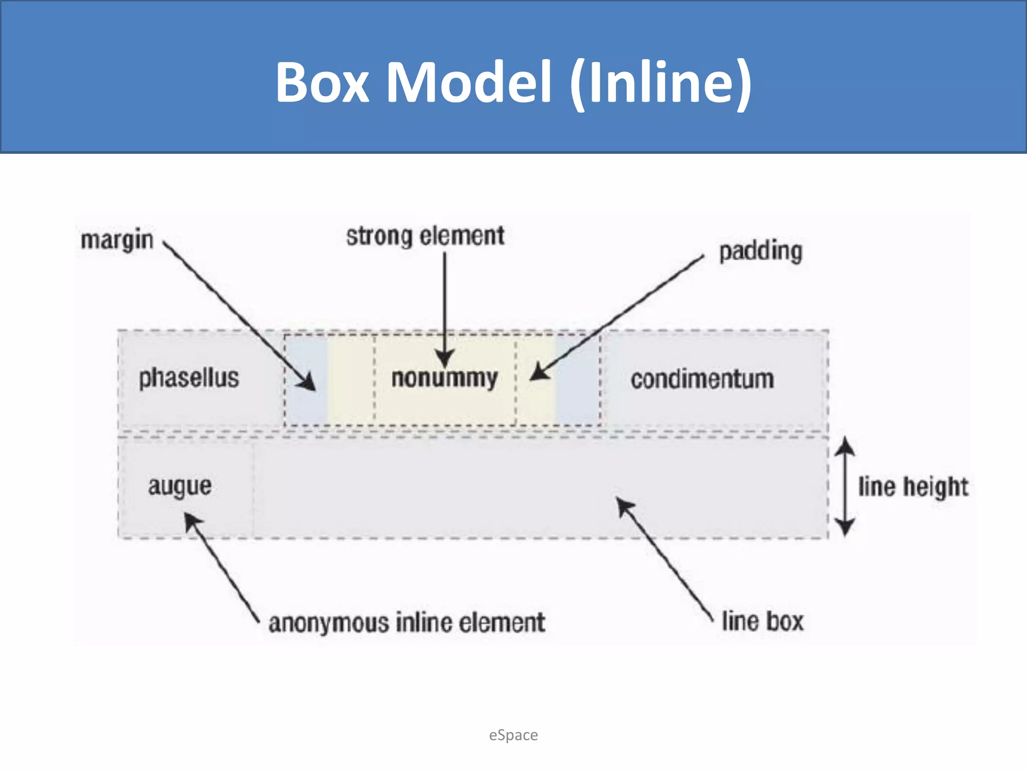 Box Model (Inline)

eSpace

 