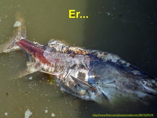 Er...




        http://www.ﬂickr.com/photos/smailtronic/2817629219/
 