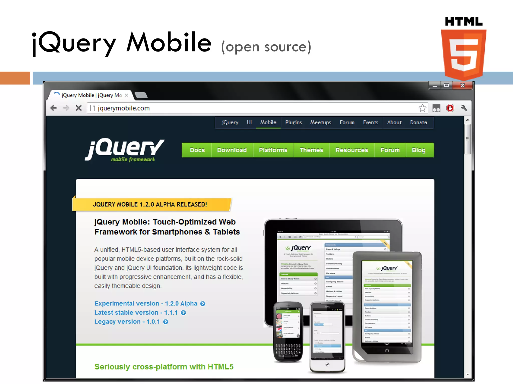 jQuery Mobile (open source)
 