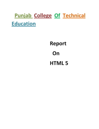 Punjab College Of Technical
Education


              Report
               On
              HTML 5
 