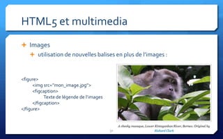 HTML5 et multimedia
 Images
     utilisation de nouvelles balises en plus de l’images :



<figure>
      <img src=’’mon_image.jpg’’>
      <figcaption>
            Texte de légende de l’images
      </figcaption>
</figure>



                                           31
 