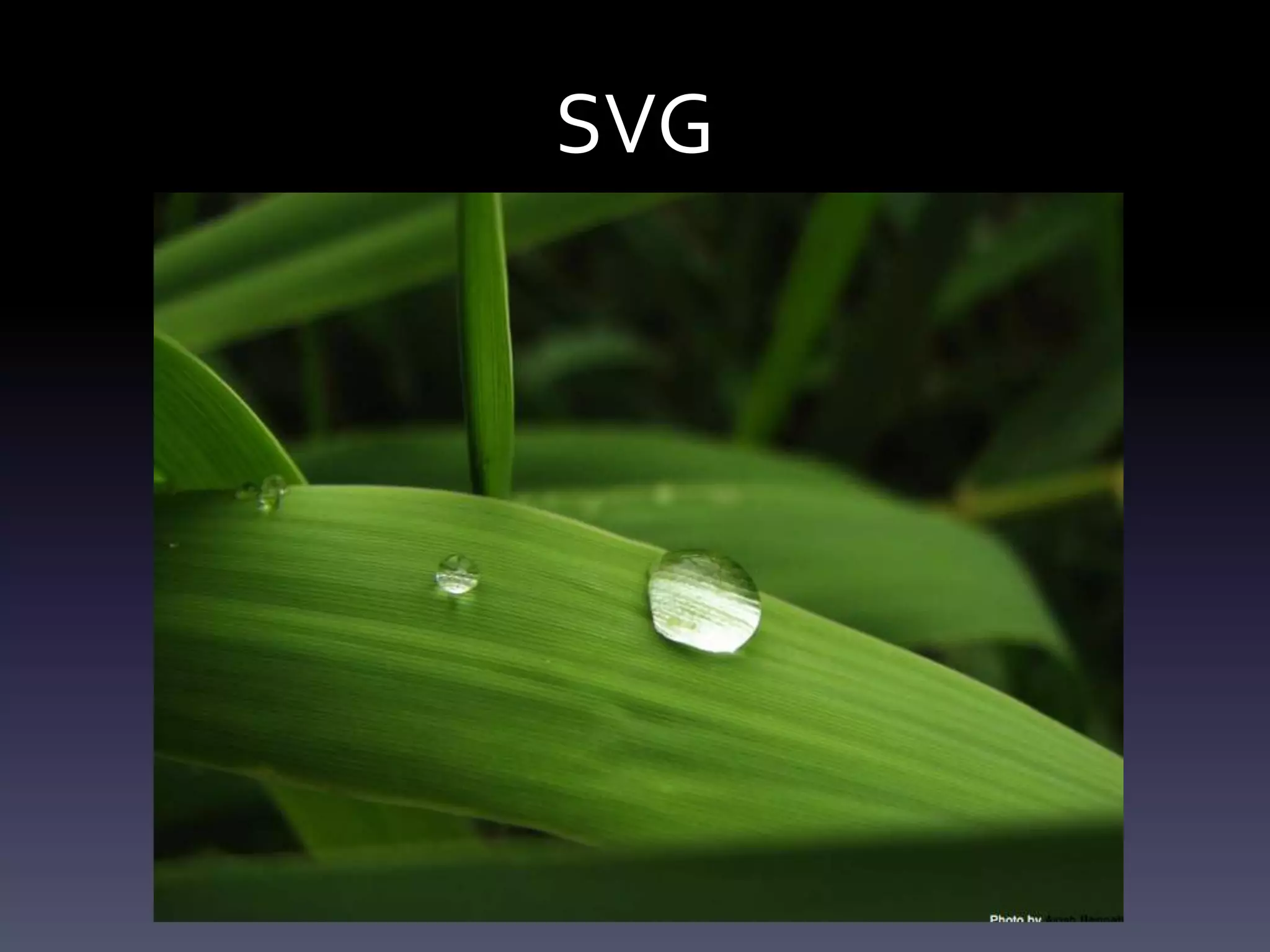 SVG
 