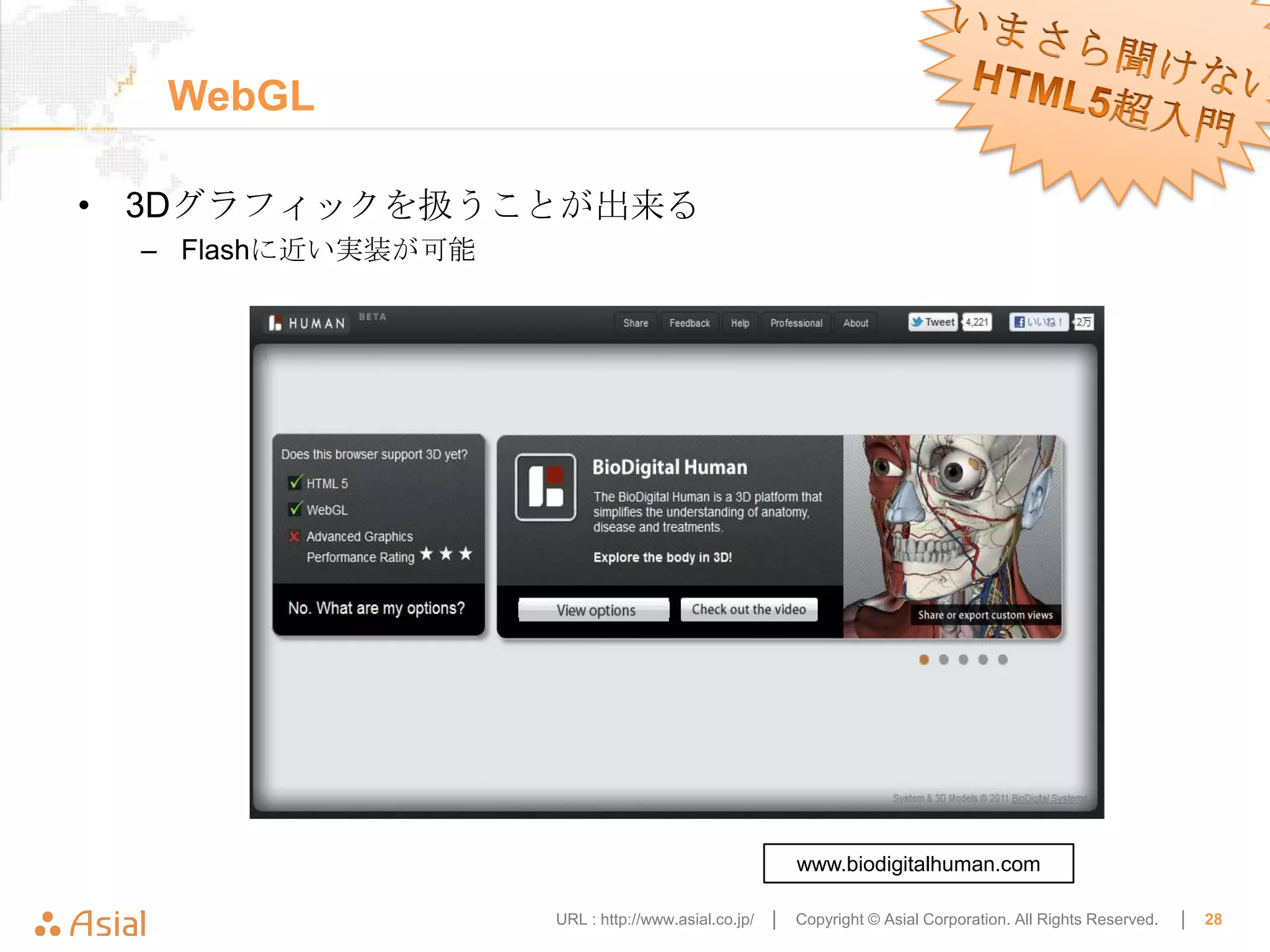 WebGL

• 3Dグラフィックを扱うことが出来る
 – Flashに近い実装が可能




                                                     www.biodigitalhuman.com

                   URL : http://www.asial.co.jp/ │   Copyright © Asial Corporation. All Rights Reserved.   │   28
 