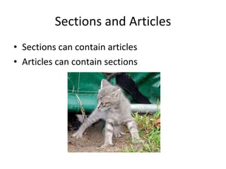 Sections and Articles Sections can contain articles Articles can contain sections 