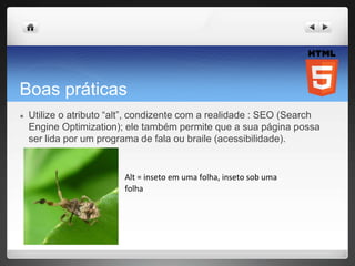 Boas práticas
● Utilize o atributo “alt”, condizente com a realidade : SEO (Search
Engine Optimization); ele também permite que a sua página possa
ser lida por um programa de fala ou braile (acessibilidade).
Alt = inseto em uma folha, inseto sob uma
folha
 