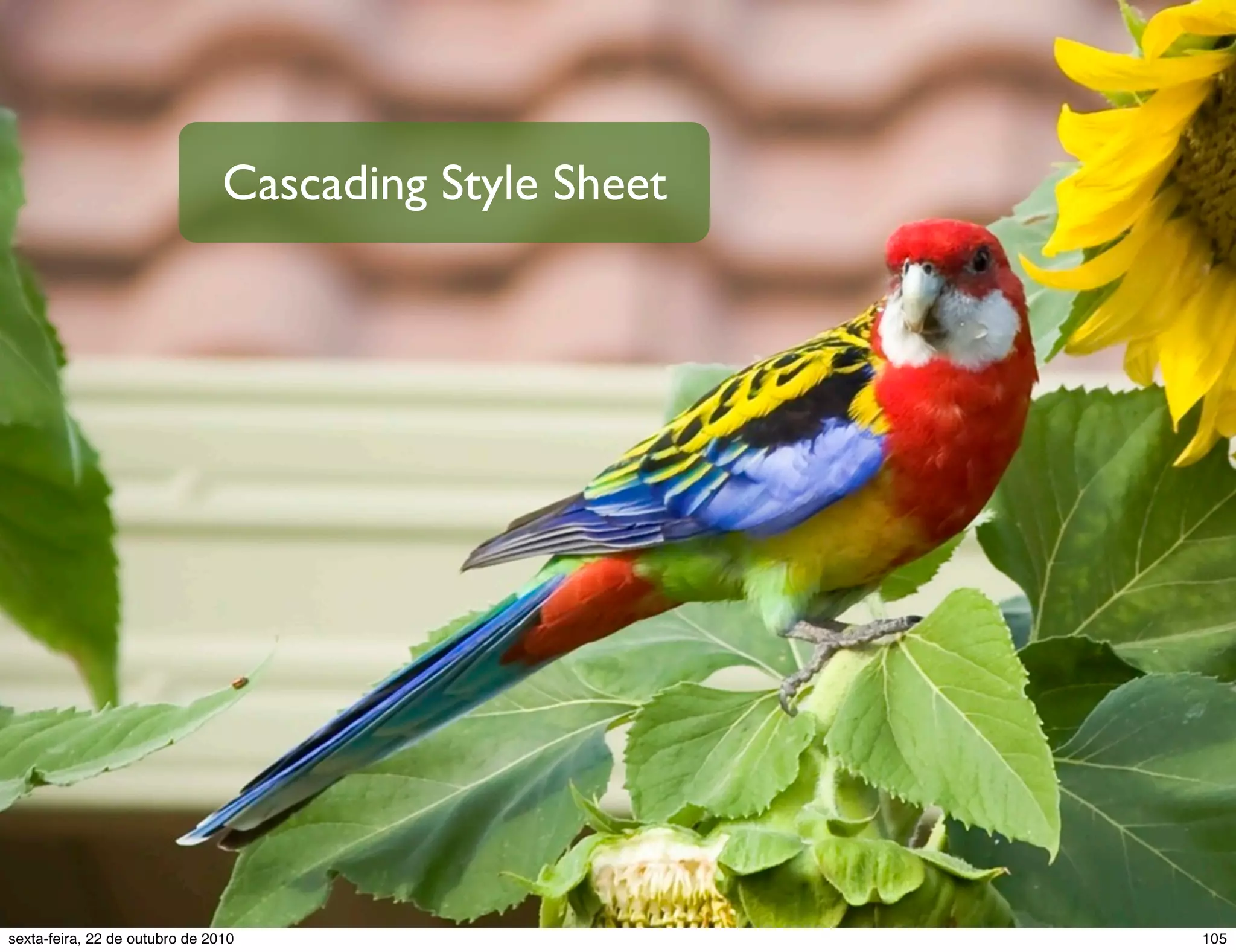 Cascading Style Sheet 105sexta-feira, 22 de outubro de 2010 