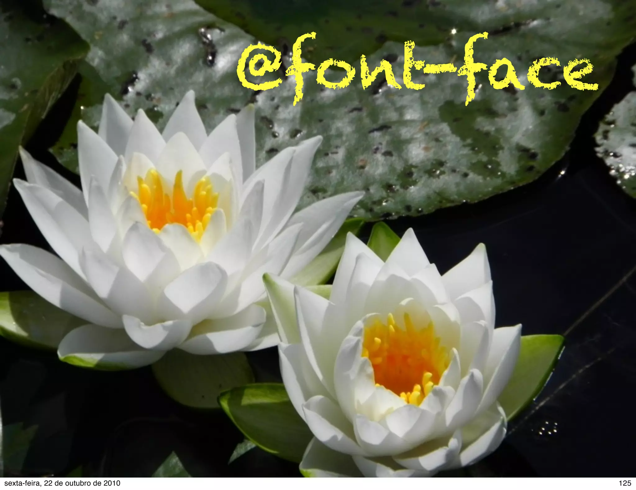 @font-face 125sexta-feira, 22 de outubro de 2010 