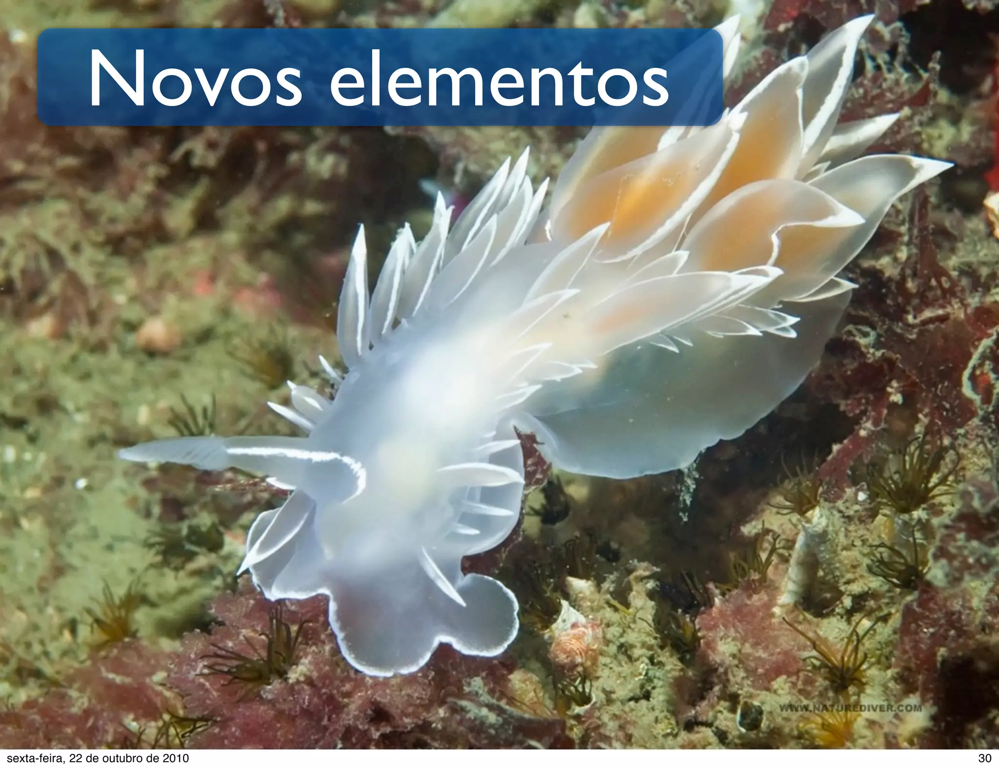 Novos elementos 30sexta-feira, 22 de outubro de 2010 