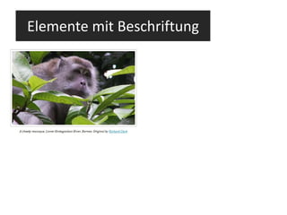 Elemente mit Beschriftung 