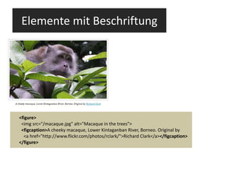 Elemente mit Beschriftung <figure> <img src="/macaque.jpg" alt="Macaque in the trees"> <figcaption> A cheeky macaque, Lower Kintaganban River, Borneo. Original by   <a href="http://www.flickr.com/photos/rclark/">Richard Clark</a> </figcaption> </figure> 