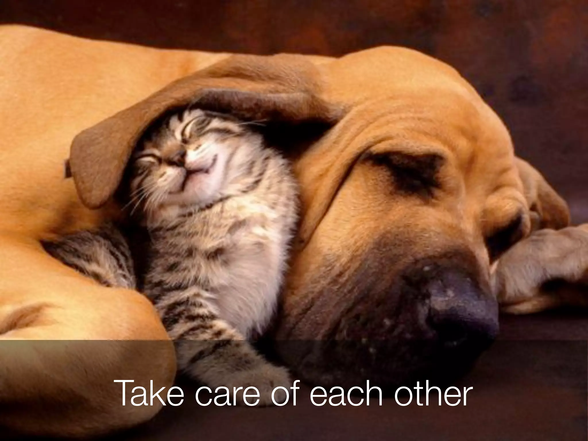 Take care of each other 