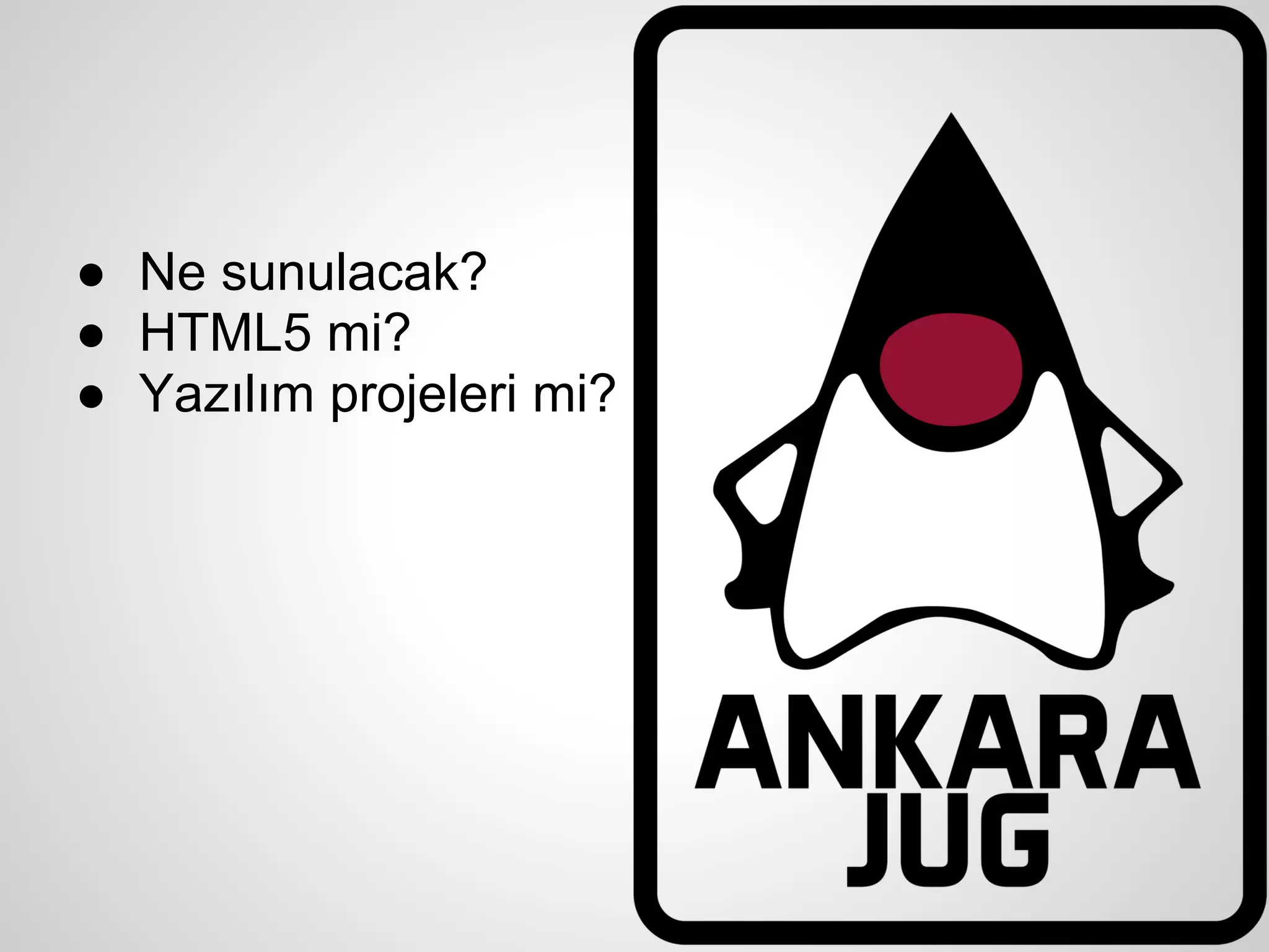 ● Ne sunulacak?
● HTML5 mi?
● Yazılım projeleri mi?
 