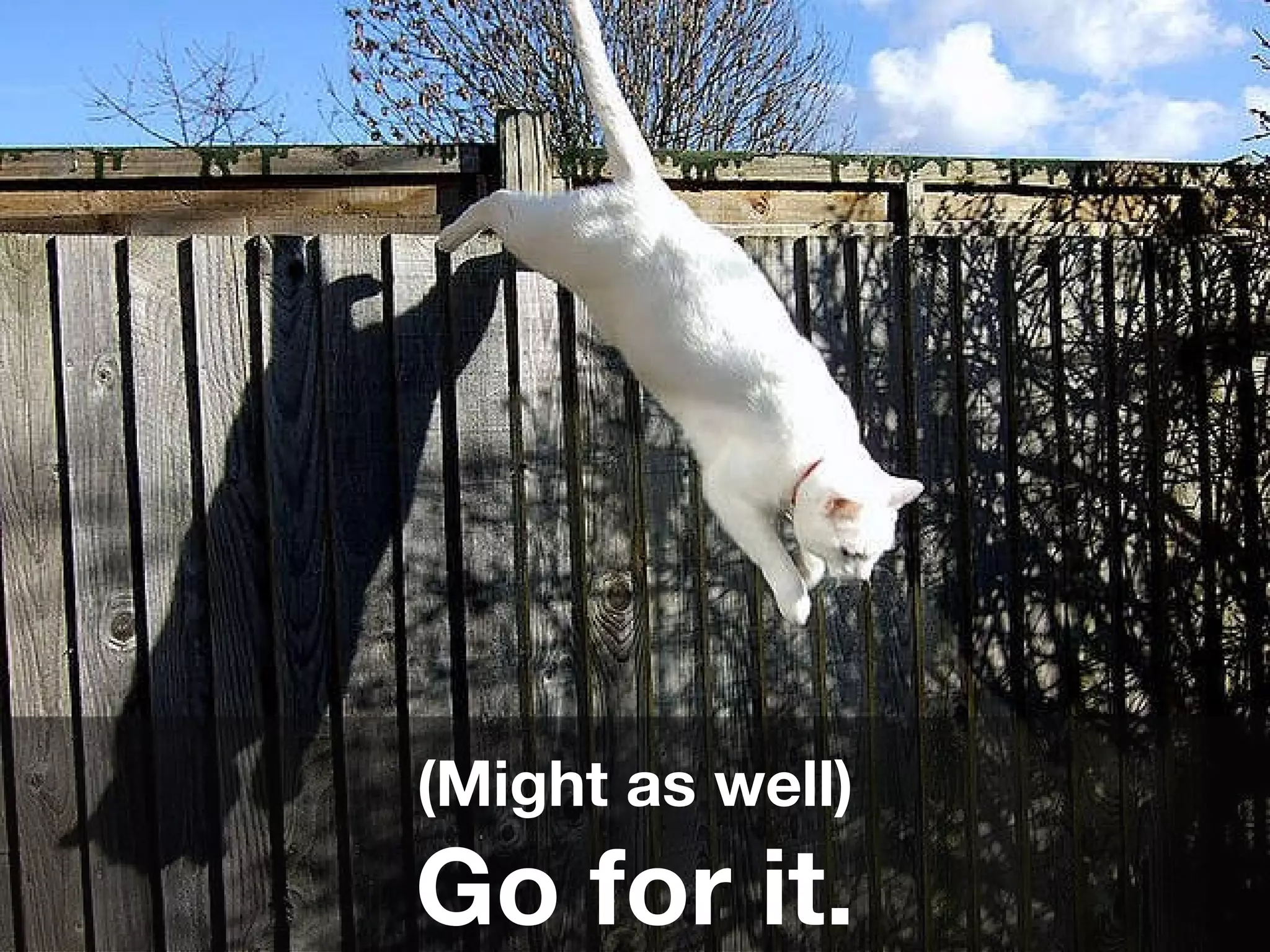 (Might as well) Go for it. 