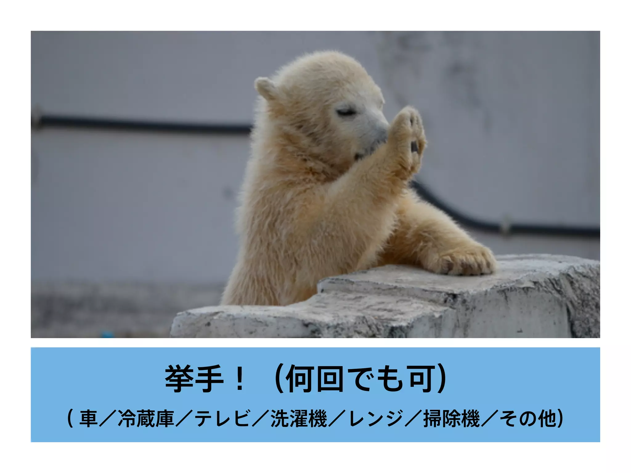 挙手！（何回でも可）
（ 車／冷蔵庫／テレビ／洗濯機／レンジ／掃除機／その他）
 