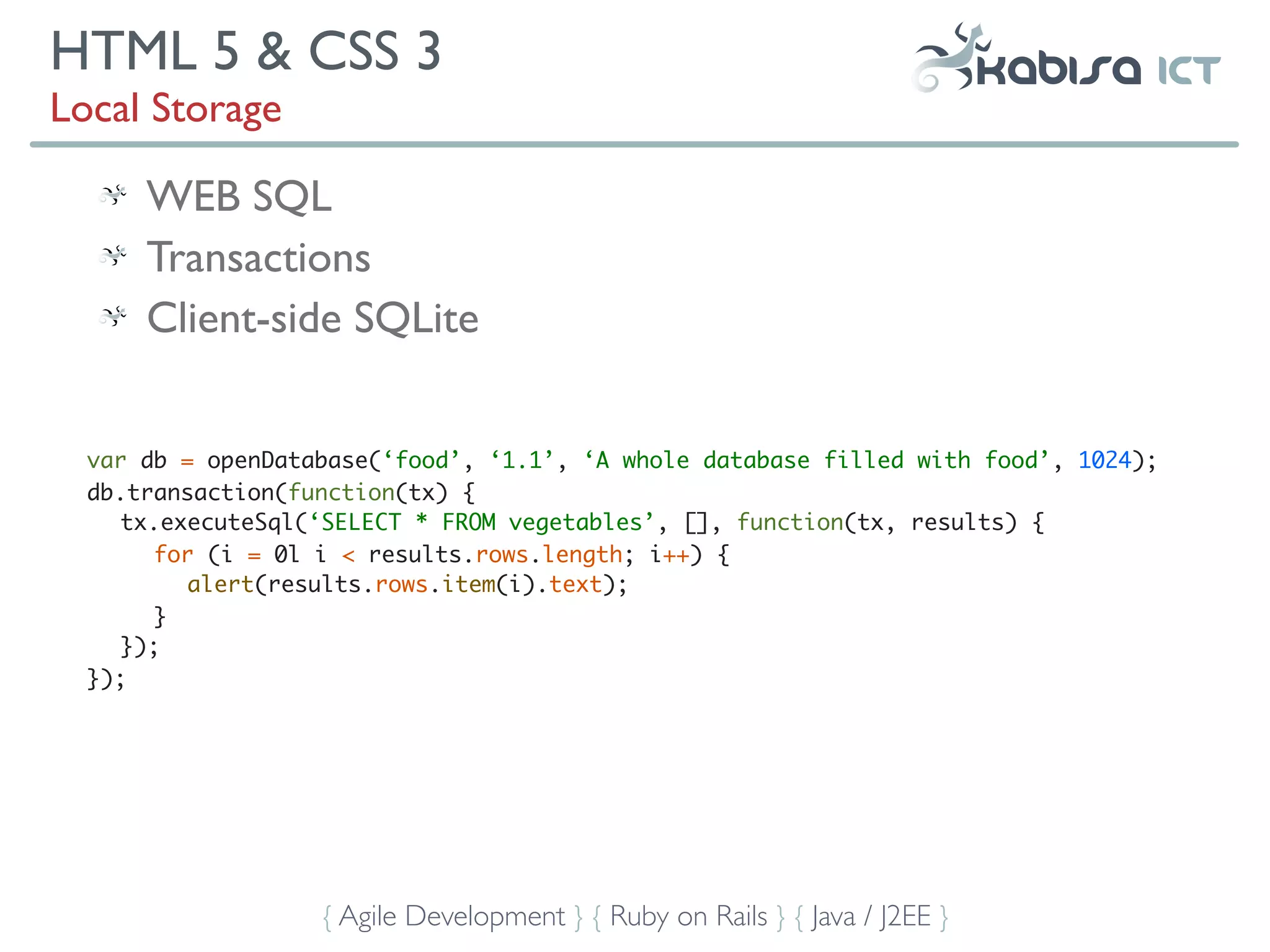 HTML 5 & CSS 3
Local Storage

      WEB SQL
      Transactions
      Client-side SQLite


  var db = openDatabase(‘food’, ‘1.1’, ‘A whole database filled with food’, 1024);
  db.transaction(function(tx) {
     tx.executeSql(‘SELECT * FROM vegetables’, [], function(tx, results) {
        for (i = 0l i < results.rows.length; i++) {
           alert(results.rows.item(i).text);
        }
     });
  });




                   { Agile Development } { Ruby on Rails } { Java / J2EE }
 