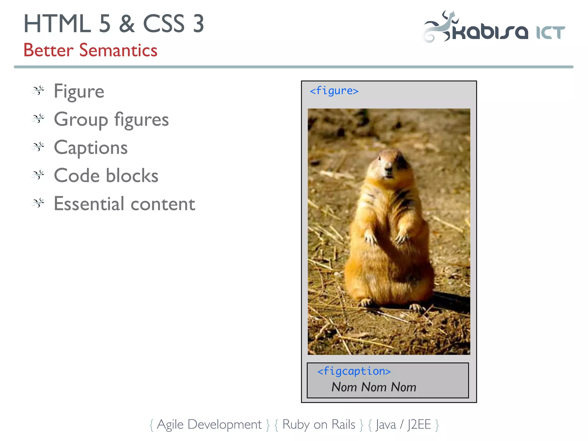 HTML 5 & CSS 3
Better Semantics

   Figure                                   <figure>


   Group ﬁgures
   Captions
   Code blocks
   Essential content




                                             <figcaption>
                                                Nom Nom Nom

              { Agile Development } { Ruby on Rails } { Java / J2EE }
 