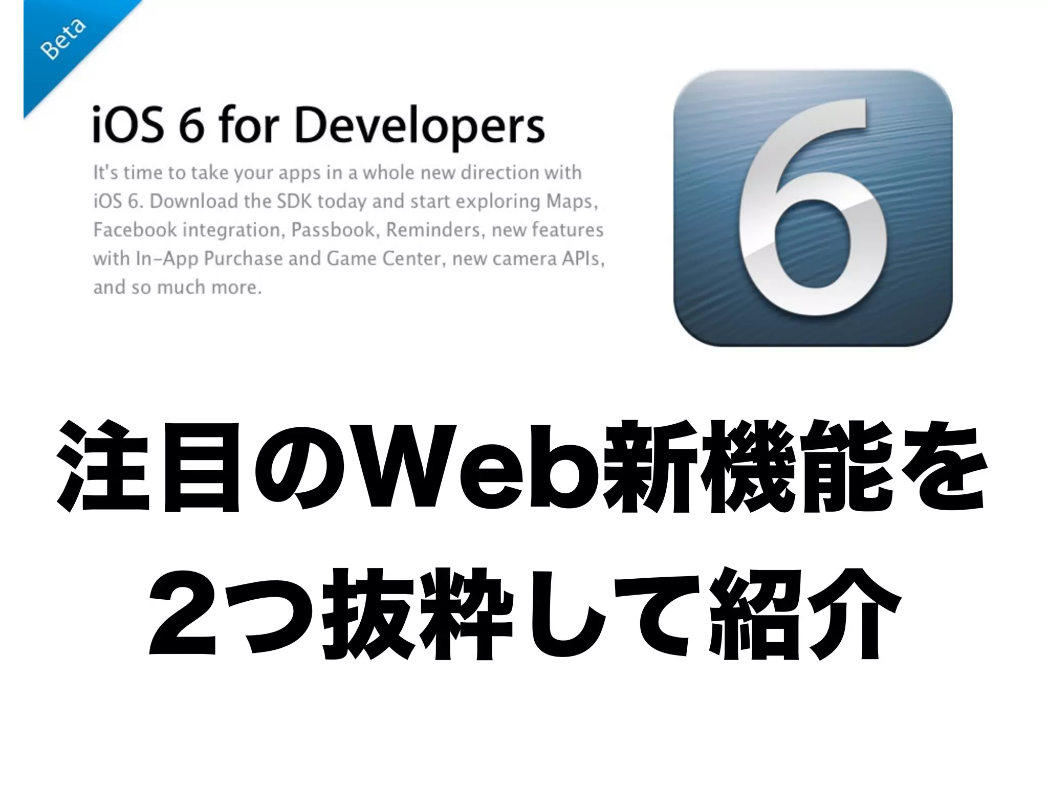 注目のWeb新機能を
2つ抜粋して紹介
 