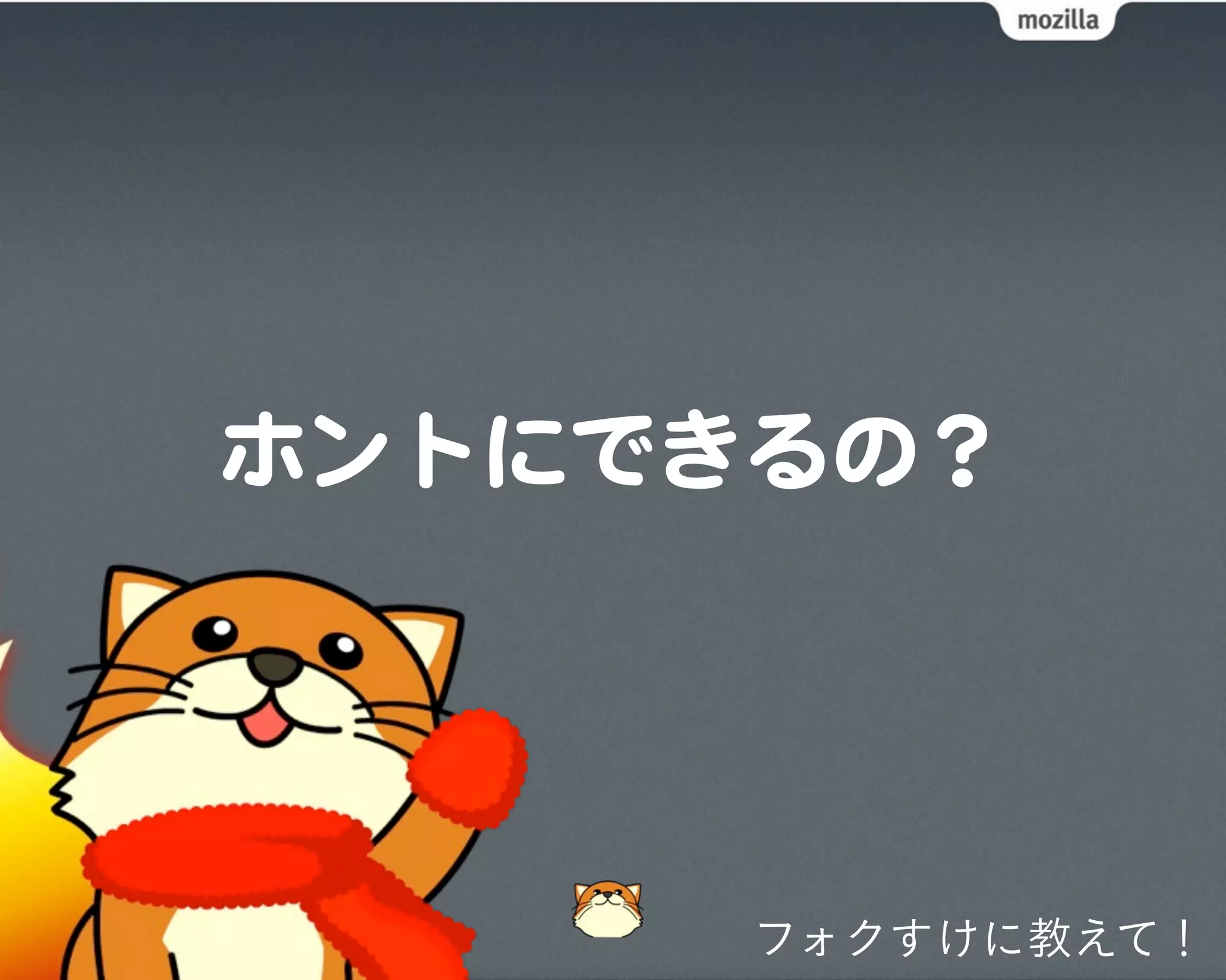 フォクすけに教えて！
 