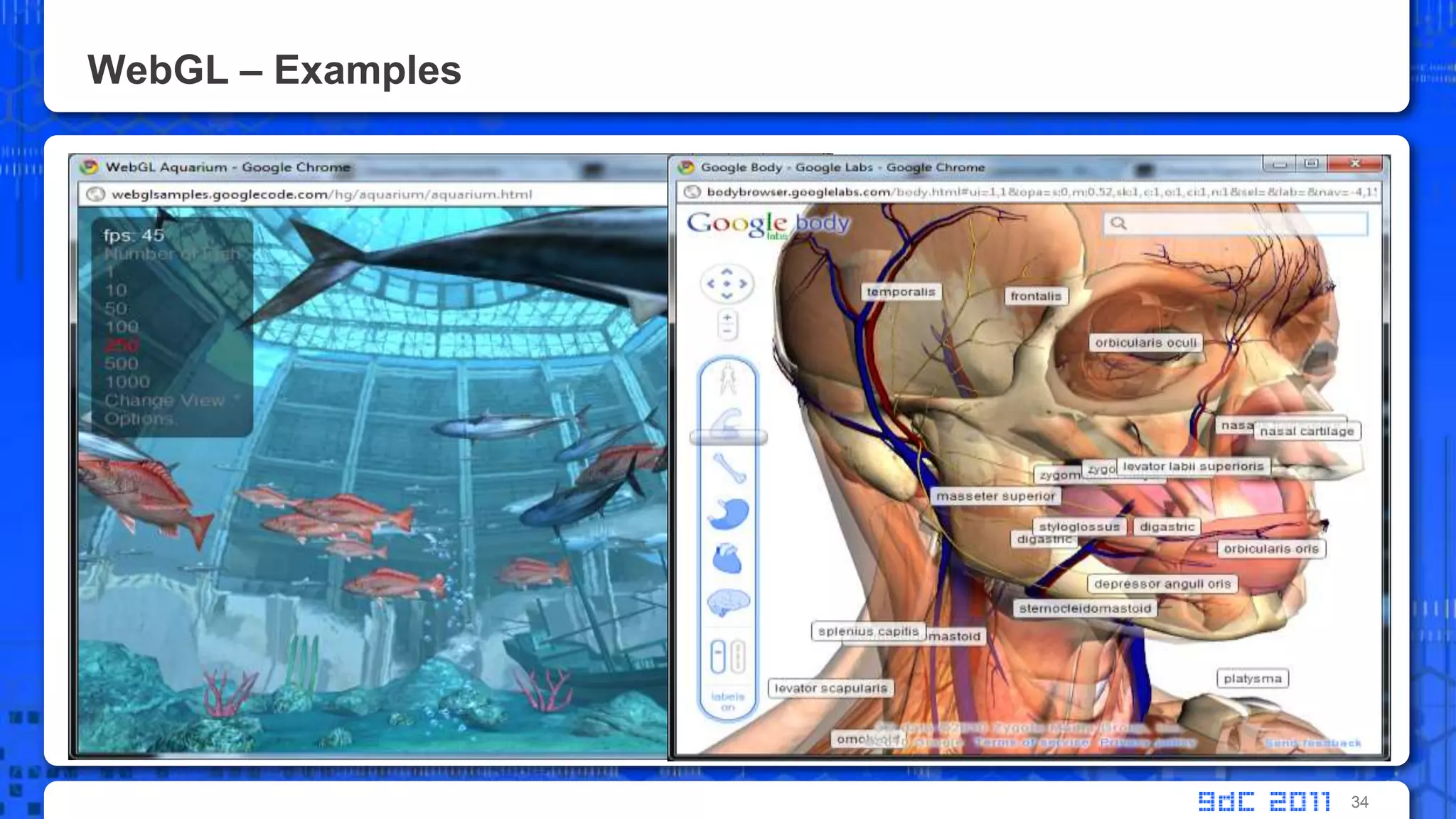 WebGL – Examples34