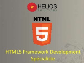 HTML5 Framework Development
Spécialiste
 