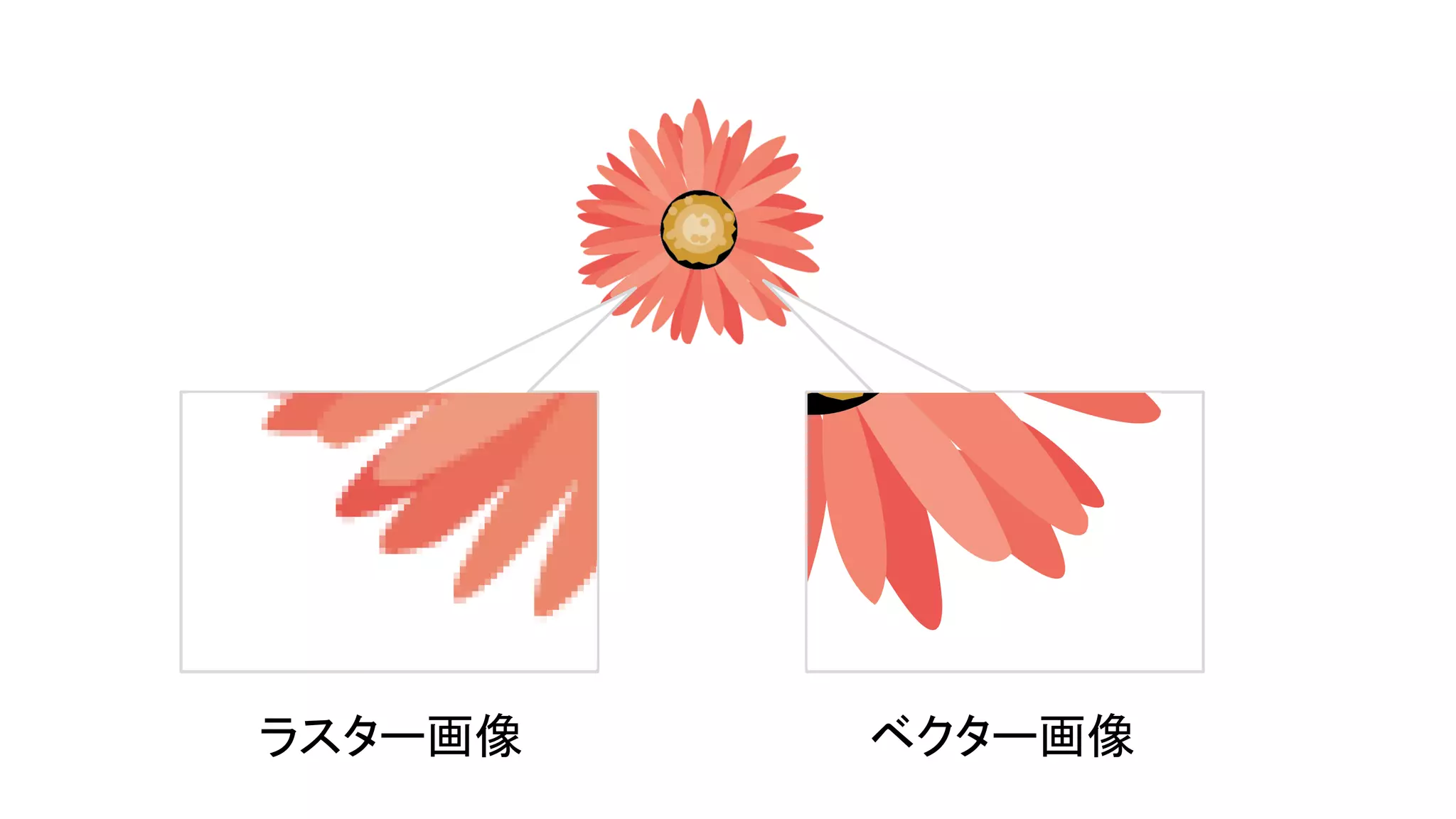 　
ラスター画像 ベクター画像
 
