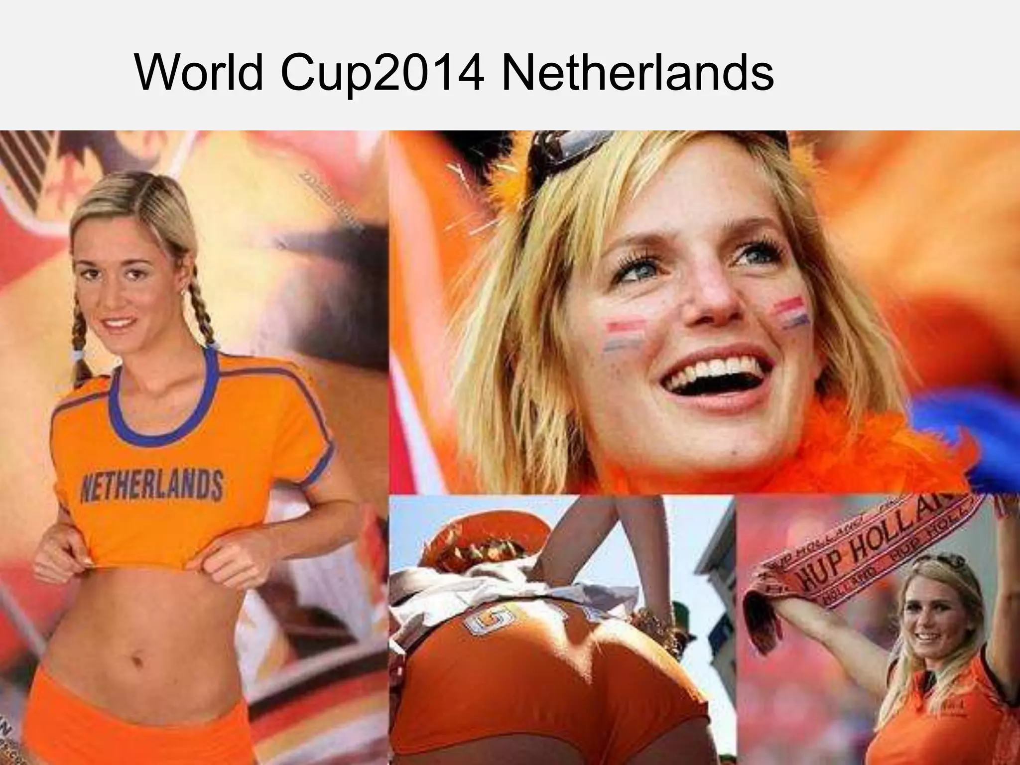 World Cup2014 Netherlands
 